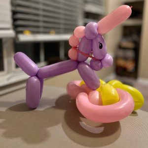 Balloon Show Dallas