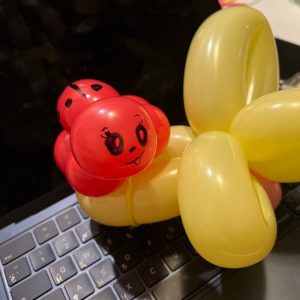 Balloons Twisting